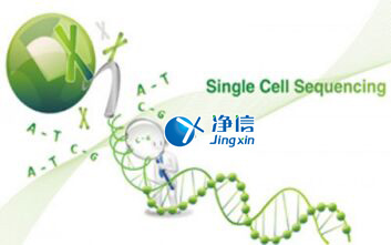 中國人自己的單細胞測序儀來了！,Drop-seq